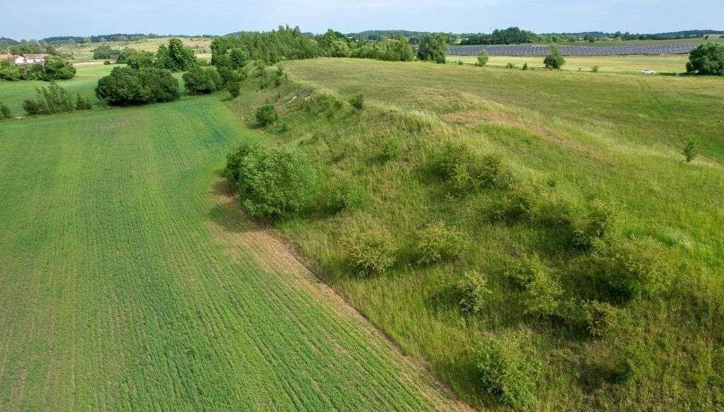 Działka rolna na sprzedaż Straduny  3 000m2 Foto 16