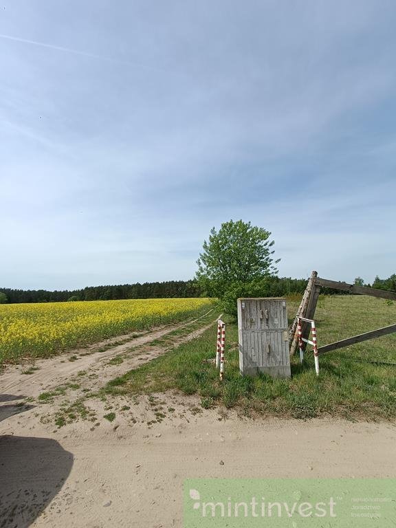 Działka rolna na sprzedaż Stawno  1 304m2 Foto 3