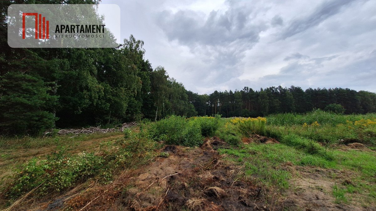 Działka gospodarstwo rolne na sprzedaż Białe Błota  3 014m2 Foto 2