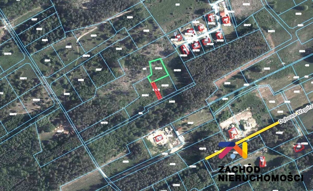 Polecam działkę 1407 m² z warunkami zabudowy i lasem Słone  1 407m2 Foto 1