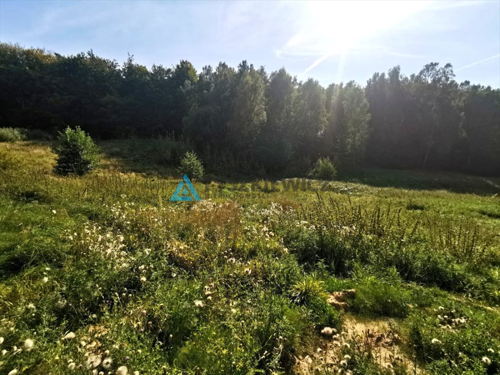 Działka budowlana na sprzedaż Ostrzyce  1 547m2 Foto 2