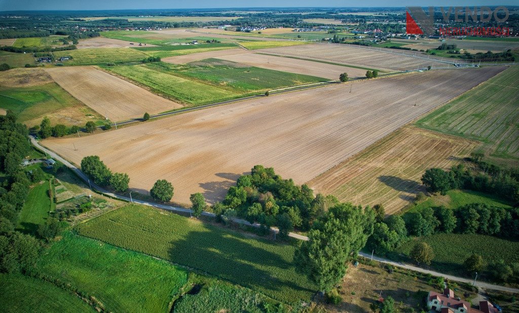 Działka budowlana na sprzedaż Pobiedziska  14 429m2 Foto 5