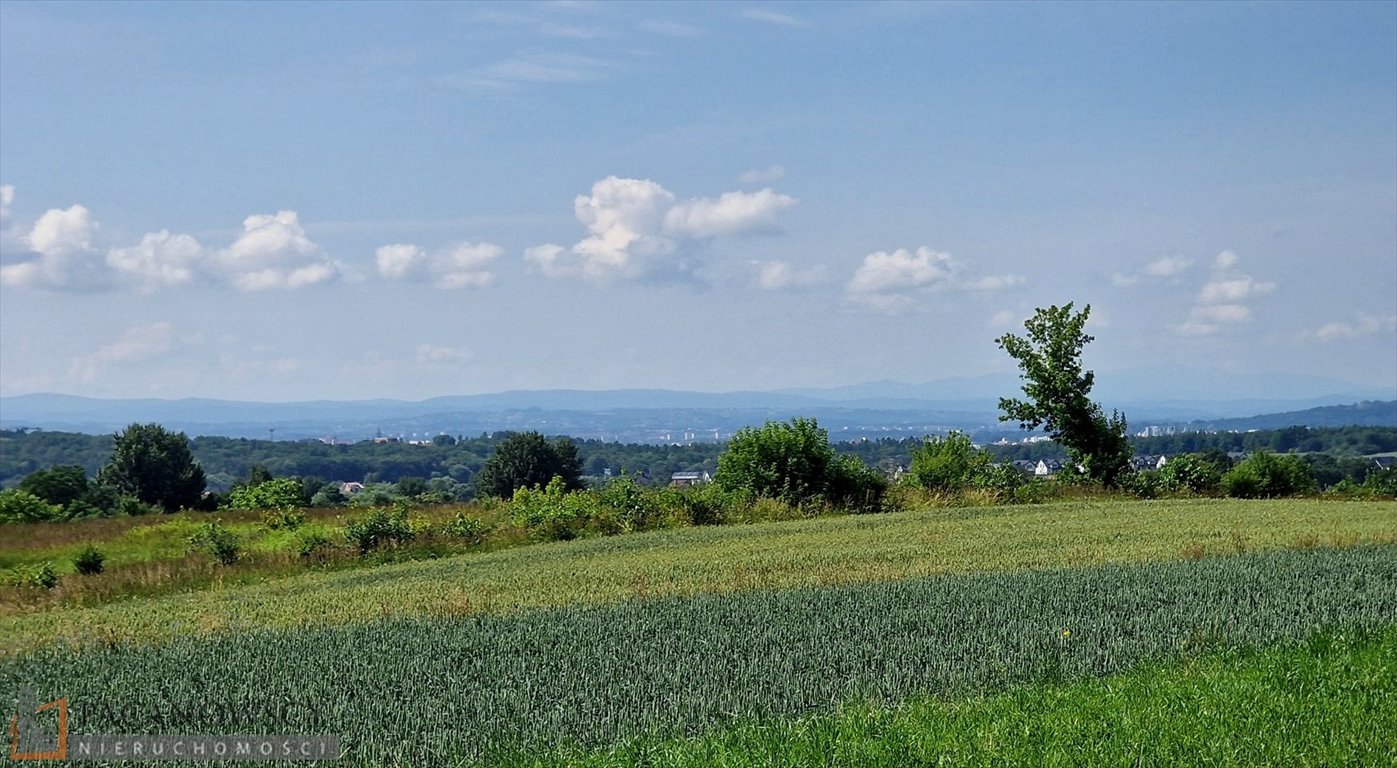 Działka budowlana na sprzedaż Bibice  3 222m2 Foto 1