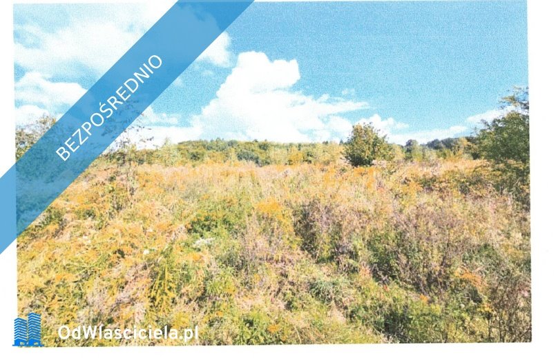 Działka na sprzedaż w Bogatyni – 8 800 m² bez prowizji Bogatynia, Trzciniec  8 800m2 Foto 1