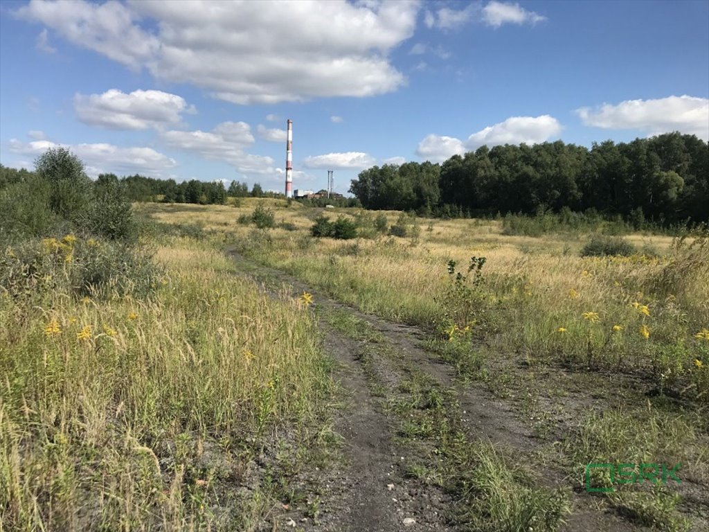 Sprzedam działki pogórnicze z możliwością rozwoju i rewitalizacji Wodzisław Śląski, Wilchwy, Czarnieckiego  248 822m2 Foto 1