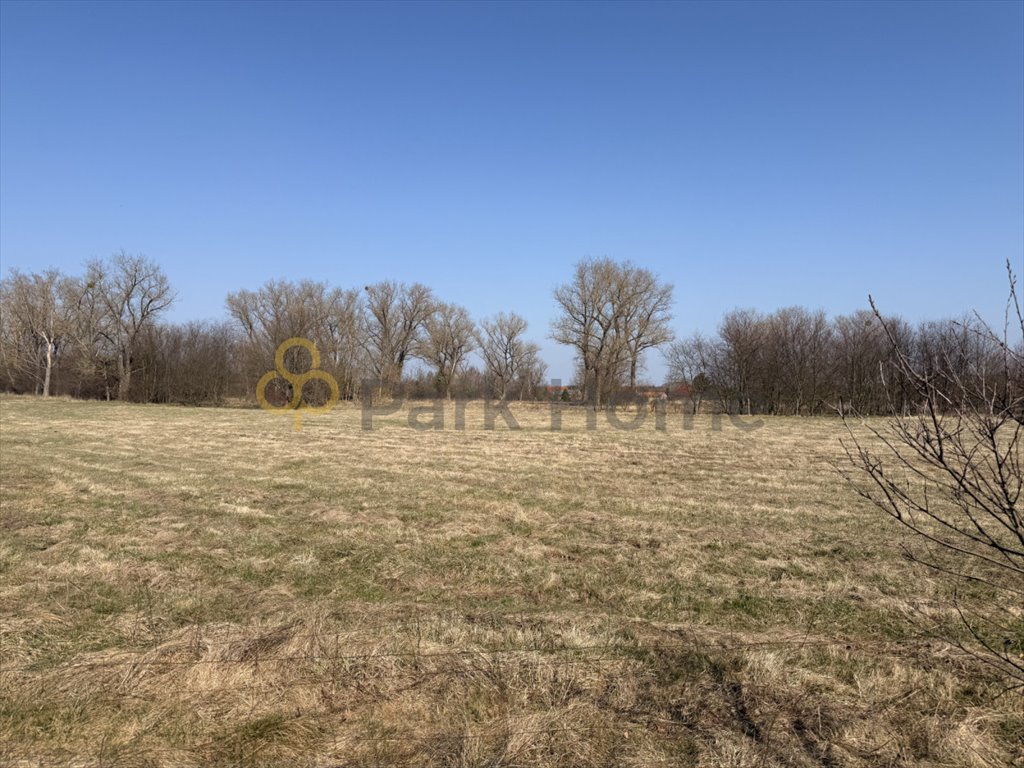 Działka 0,55 ha z warunkami zabudowy – inwestycja lub dom Lubiechów  5 500m2 Foto 1