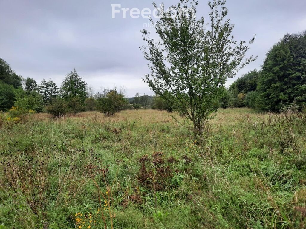 Działka budowlana na sprzedaż Durąg  11 141m2 Foto 1