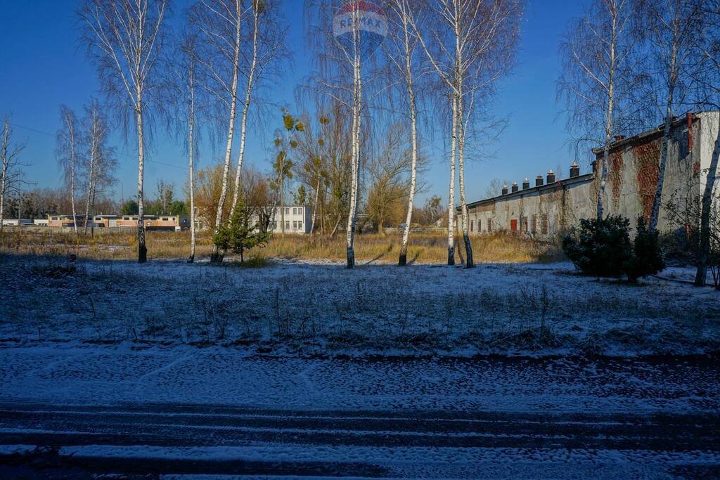 Magazyn na sprzedaż Sochaczew, Chodakowska  12 973m2 Foto 7