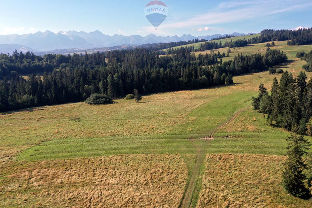 Działka rolna na sprzedaż Białka Tatrzańska  4 151m2 Foto 7