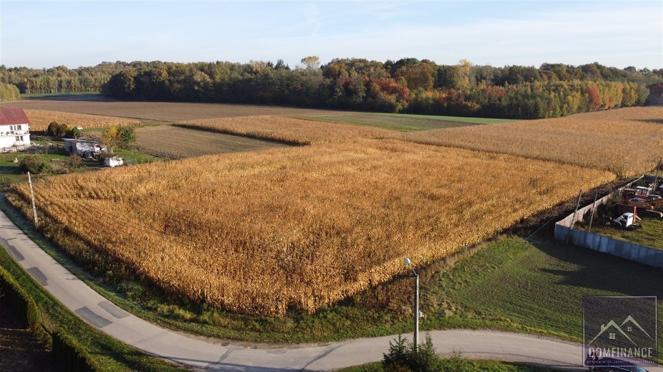 Działka budowlana na sprzedaż Morzychna  7 000m2 Foto 3