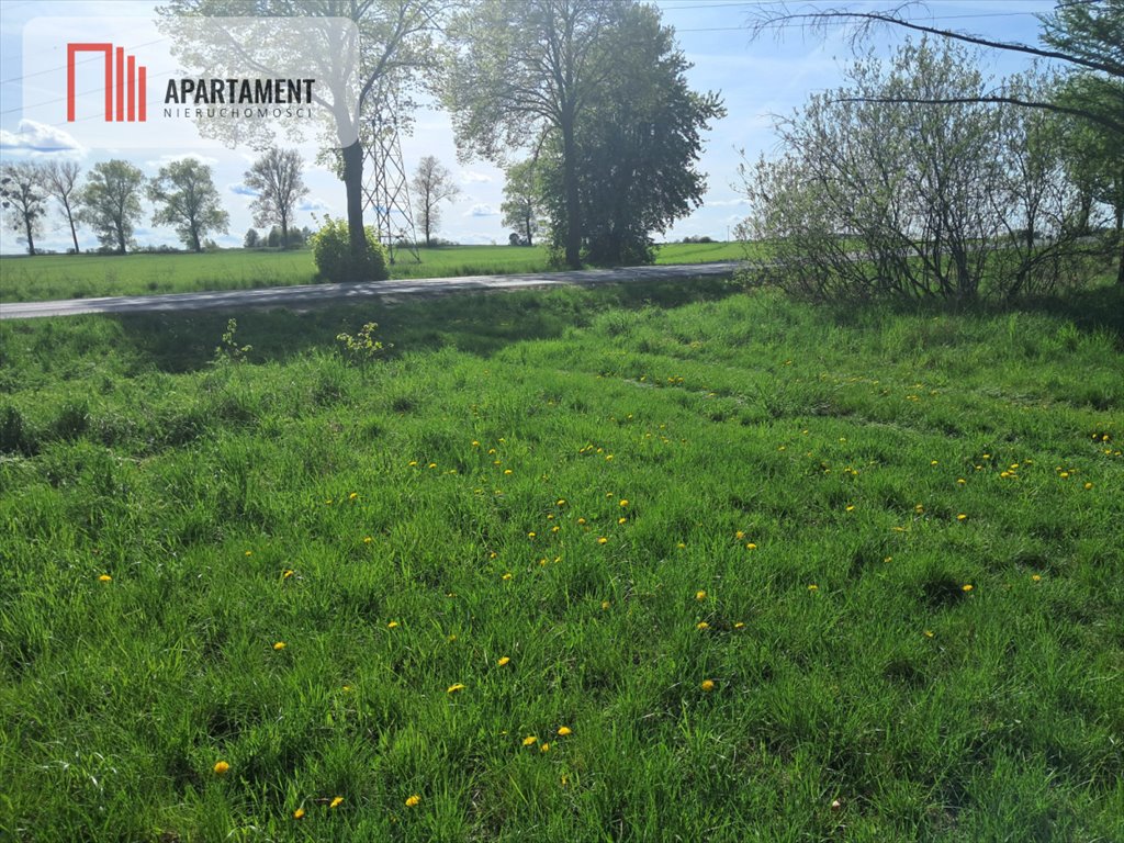 Do sprzedania działka rolna 2,2 ha przy drodze wojewódzkiej Górzna  22 000m2 Foto 1