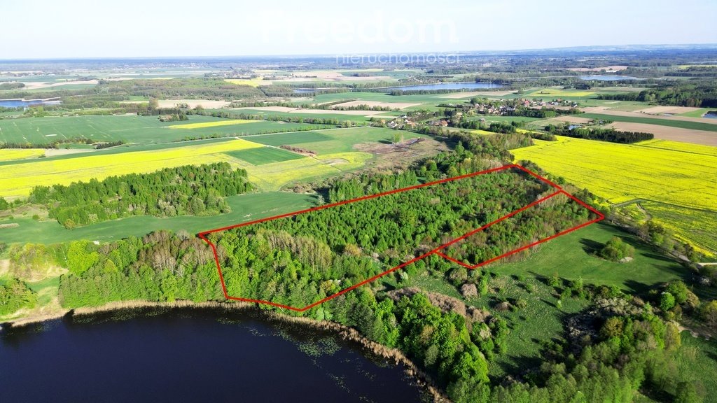 Działka nad jeziorem z własną linią brzegową i lasem Wielowieś  84 500m2 Foto 1