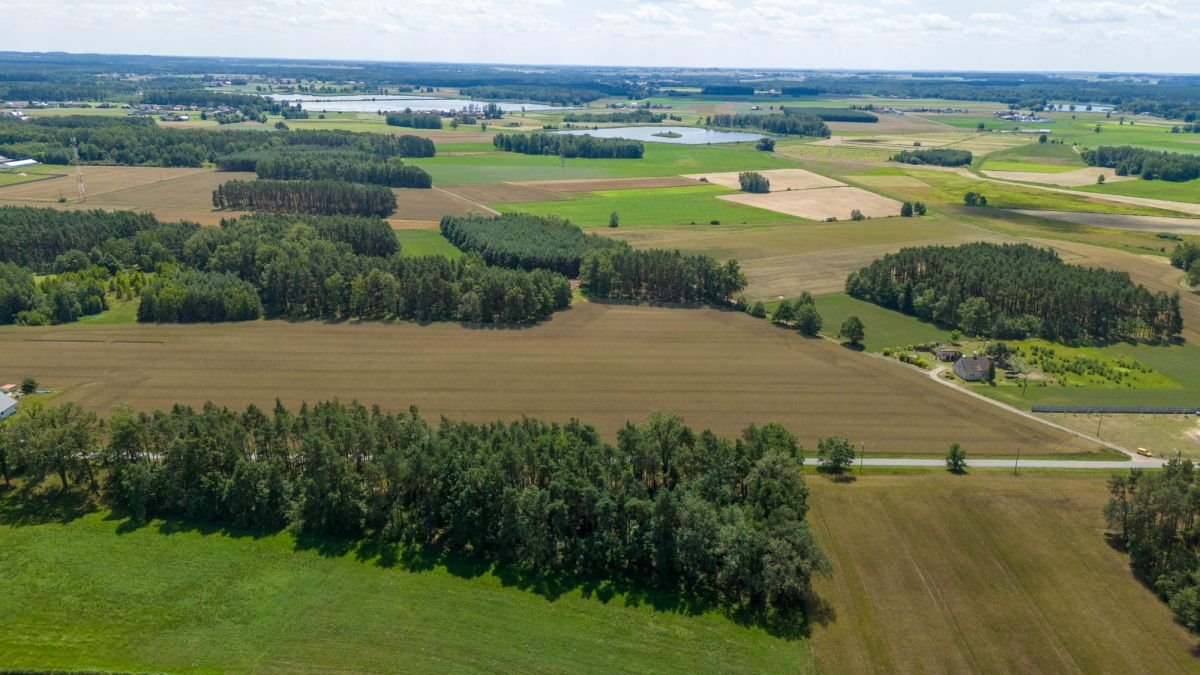 Działka budowlana na sprzedaż Zborowskie, Dolna  1 681m2 Foto 7