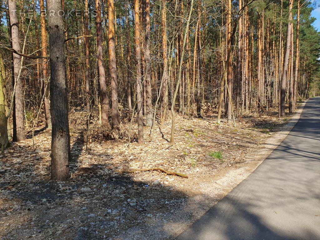 Działka leśna na sprzedaż Warszawa, Wawer Radość, Liścienia  1 818m2 Foto 2
