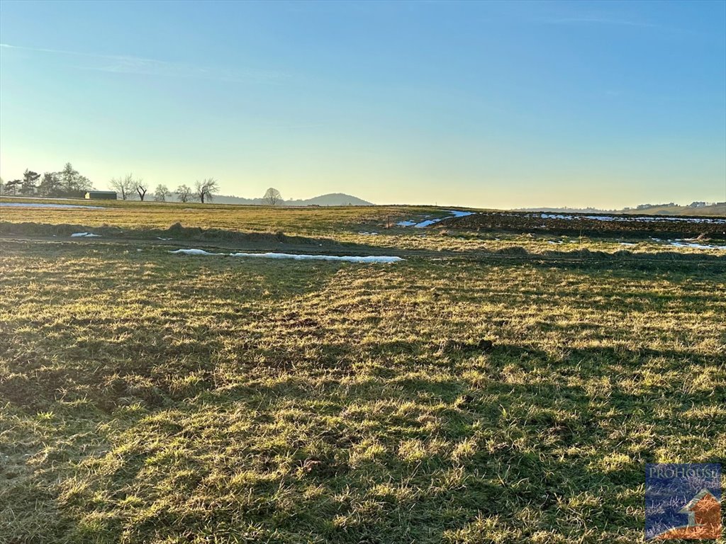 Działka budowlana na sprzedaż Męcina  4 200m2 Foto 6