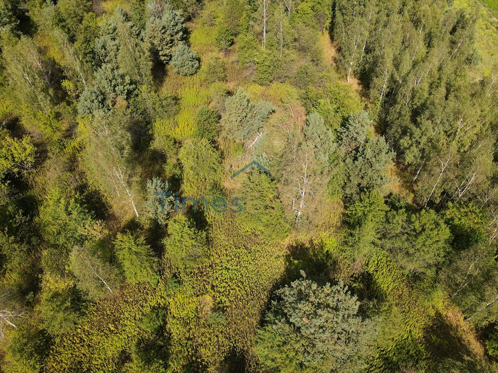 Działka budowlana na sprzedaż Skierdy, Modlińska  3 011m2 Foto 6