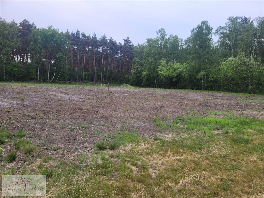 Działka budowlana na sprzedaż Skotniki  1 997m2 Foto 2