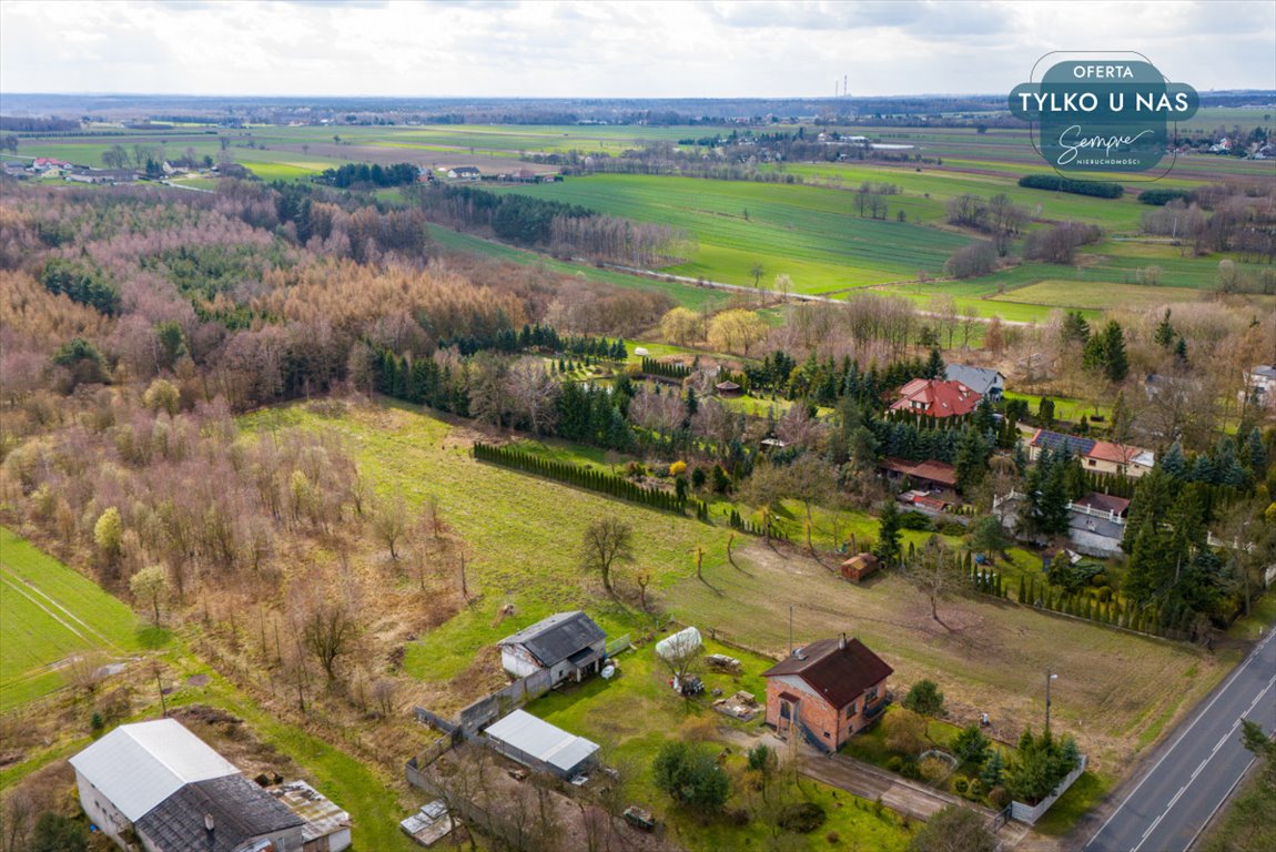 Działka budowlana na sprzedaż Paprotnia  12 600m2 Foto 8