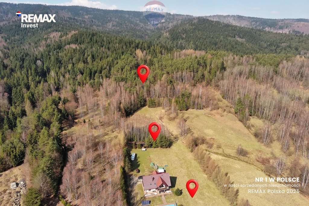 Dom 220 m² w otoczeniu lasu, 2,77 ha działek, wysoki standard Las  220m2 Foto 1