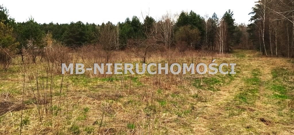 Działka rolna z warunkami zabudowy - las, media, blisko Olsztyna Klebark Mały  3 277m2 Foto 1
