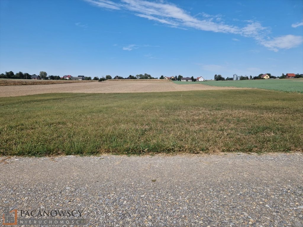 Działka budowlana na sprzedaż Sieciechowice  1 000m2 Foto 5