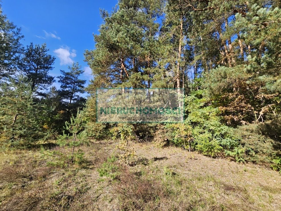 Działka 1500 m² z mediami - las - szybki dojazd do S8 Adamów-Wieś  1 500m2 Foto 1