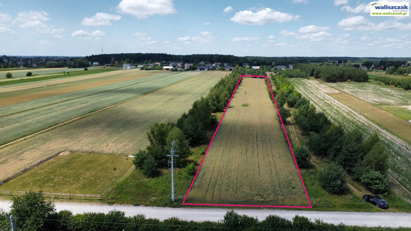 Działka budowlana na sprzedaż Ignaców  7 100m2 Foto 1