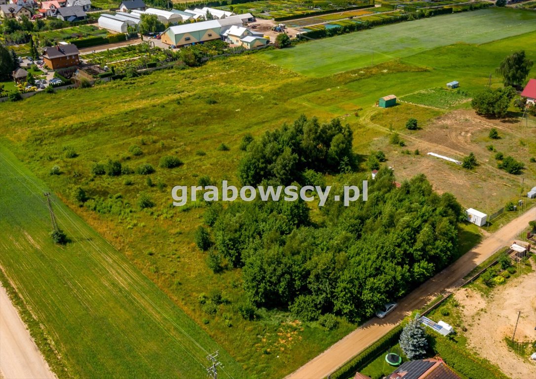 Działka budowlana na sprzedaż Kuriany  7 371m2 Foto 8