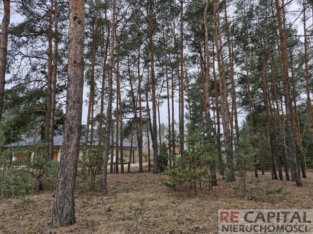 Działka inwestycyjna na sprzedaż Adelin  3 731m2 Foto 2