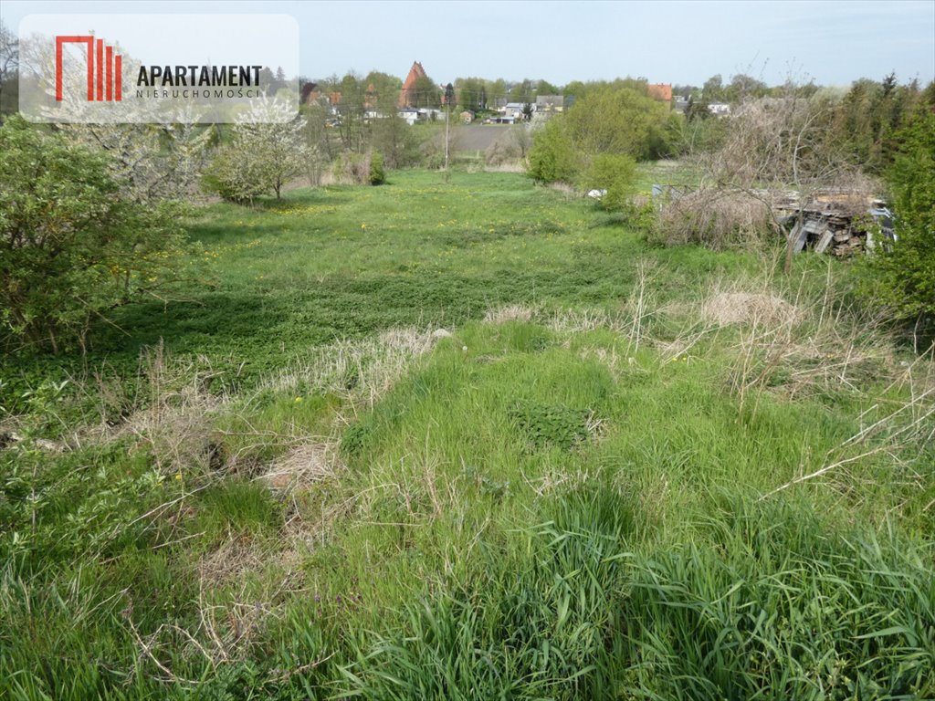 Działka budowlana na sprzedaż Gębice  4 500m2 Foto 2