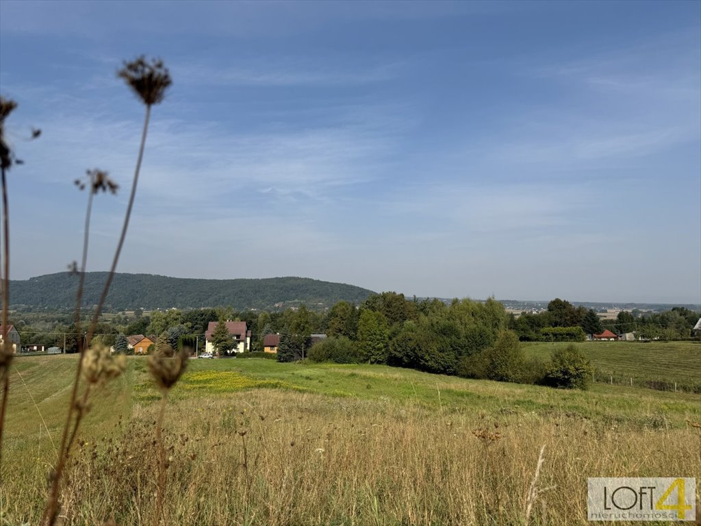 Działka inna na sprzedaż Dąbrówka Szczepanowska  5 600m2 Foto 6