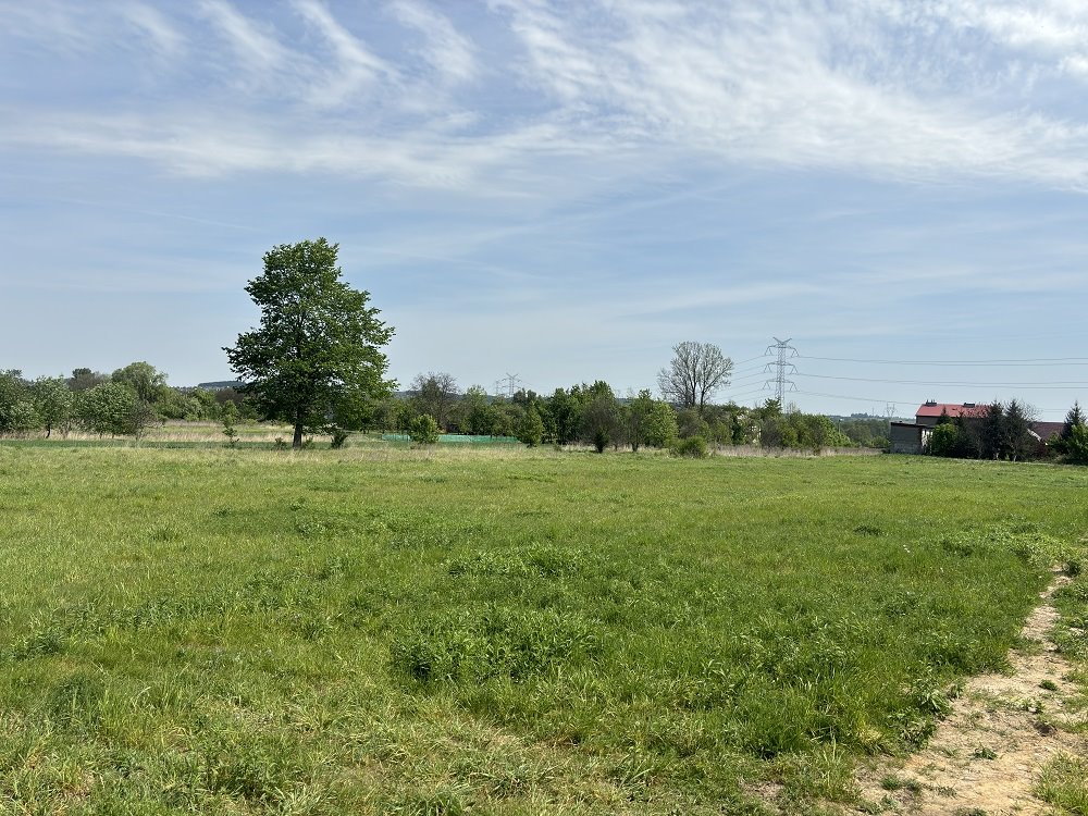 Działka budowlana na sprzedaż Przeczyce, 21 Stycznia  1 004m2 Foto 5