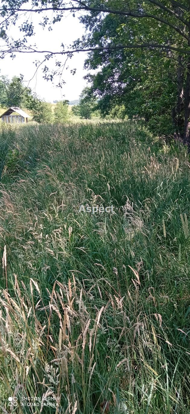 Działka 16,14 arów z dobrym dojazdem i bez mediów Wielopole Skrzyńskie  1 614m2 Foto 1