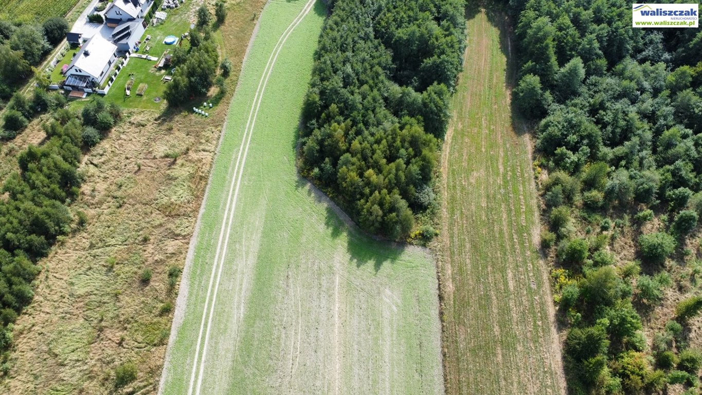 Działka budowlana na sprzedaż Piotrków Trybunalski, Wronia  24 900m2 Foto 5