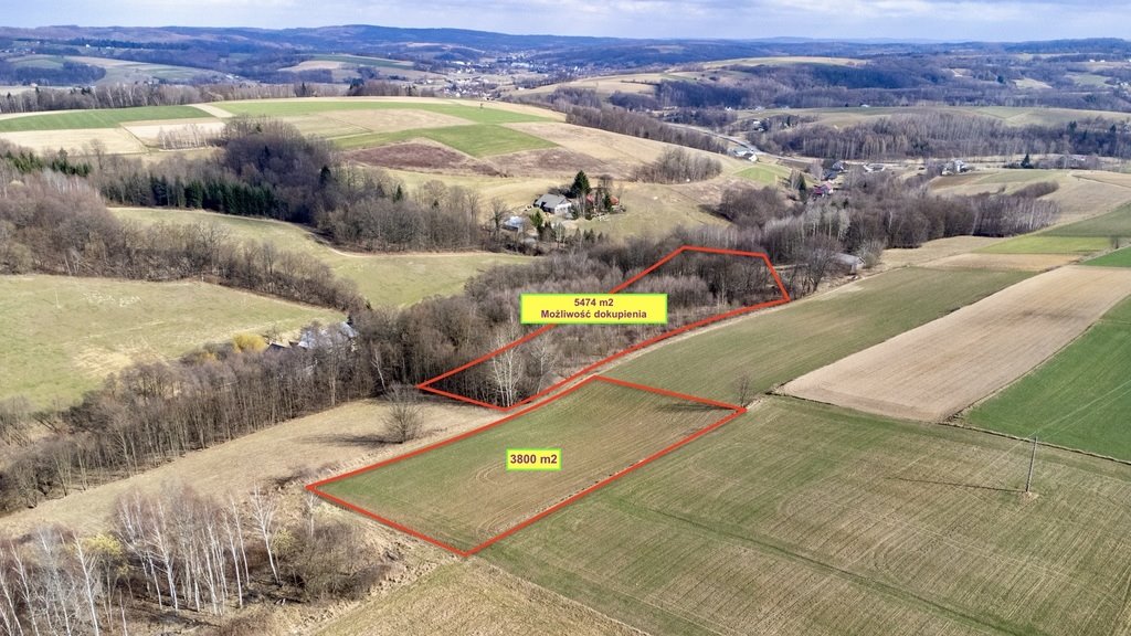 Działka 3800 m² pod zabudowę w Brzezinach, dostęp do drogi Brzeziny  3 800m2 Foto 1