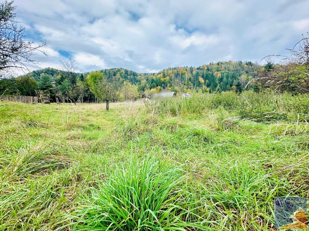 Działka budowlana na sprzedaż Kamienica  1 000m2 Foto 3