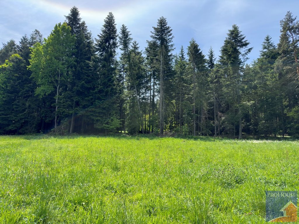 Działka leśna na sprzedaż Podłopień  5 200m2 Foto 4