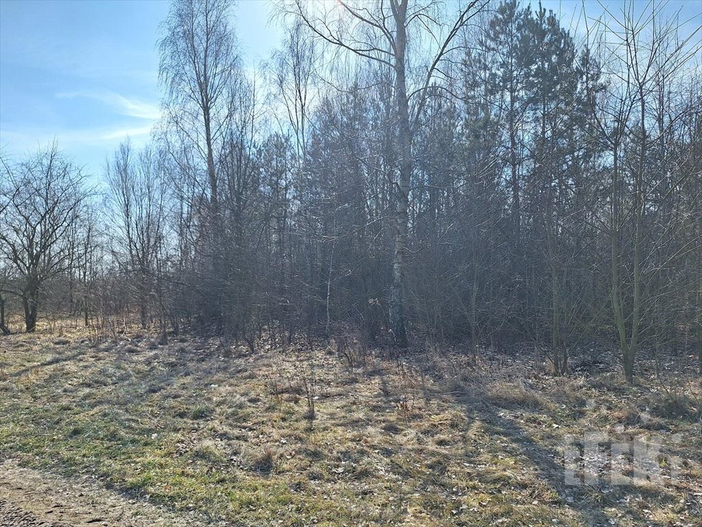 Działka budowlana na sprzedaż Lisna  3 000m2 Foto 3