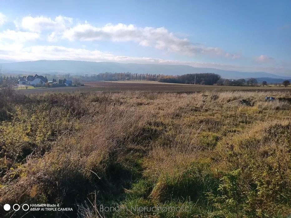 Działka budowlana na sprzedaż Mielnik  3 000m2 Foto 2