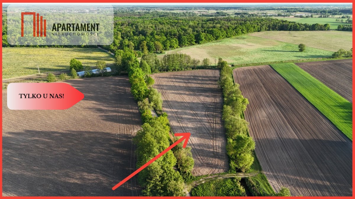 Działka rolna 14 800 m² z dostępem do rzeki Oleśnica Brzezia Łąka  14 800m2 Foto 1
