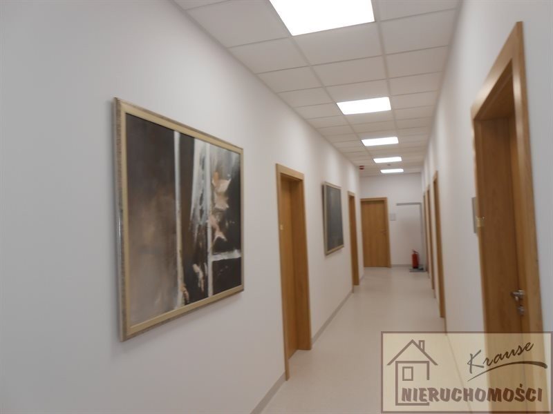 Lokal użytkowy na wynajem Poznań, Grunwald, CENTRUM 45m2 Foto 1 Lokal użytkowy na wynajem Poznań, Grunwald, CENTRUM 45m2 Foto 1