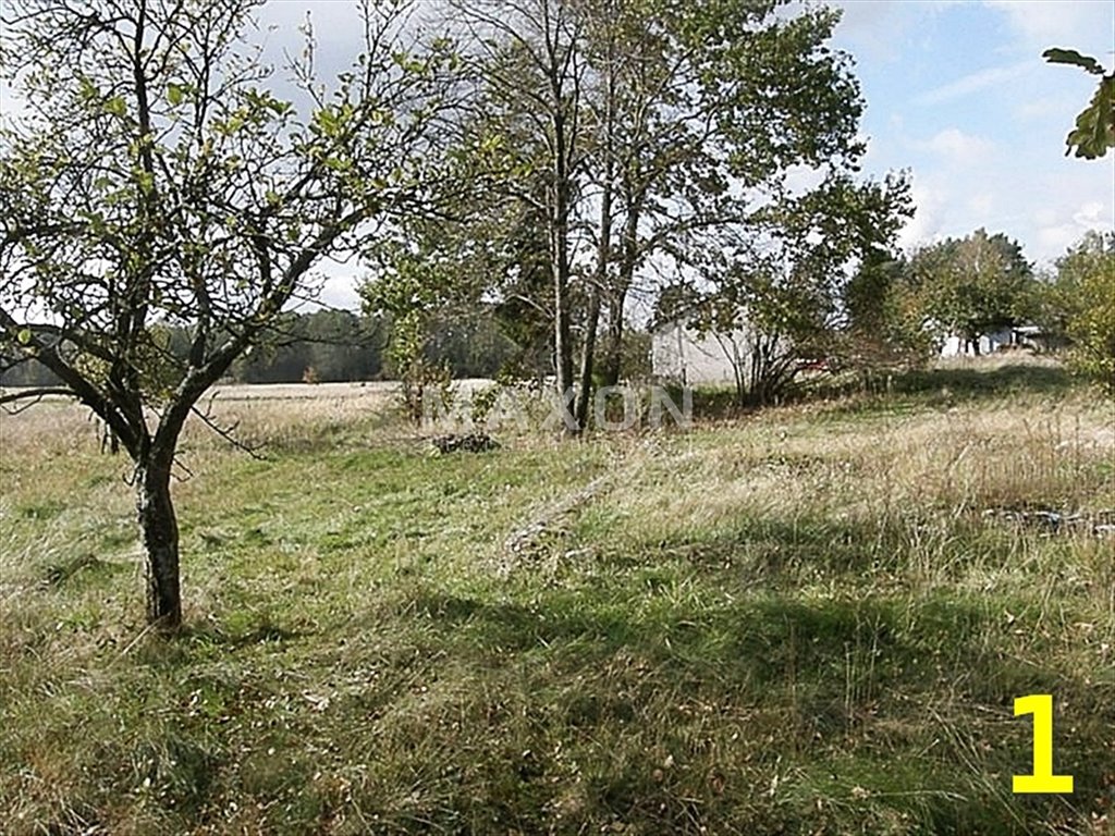 Działka budowlana na sprzedaż Kąck  27 000m2 Foto 2