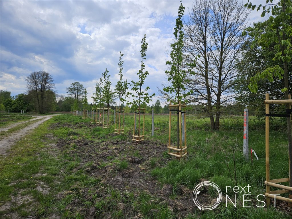 Działka budowlana na sprzedaż Siedliska, Patagońska  1 600m2 Foto 7