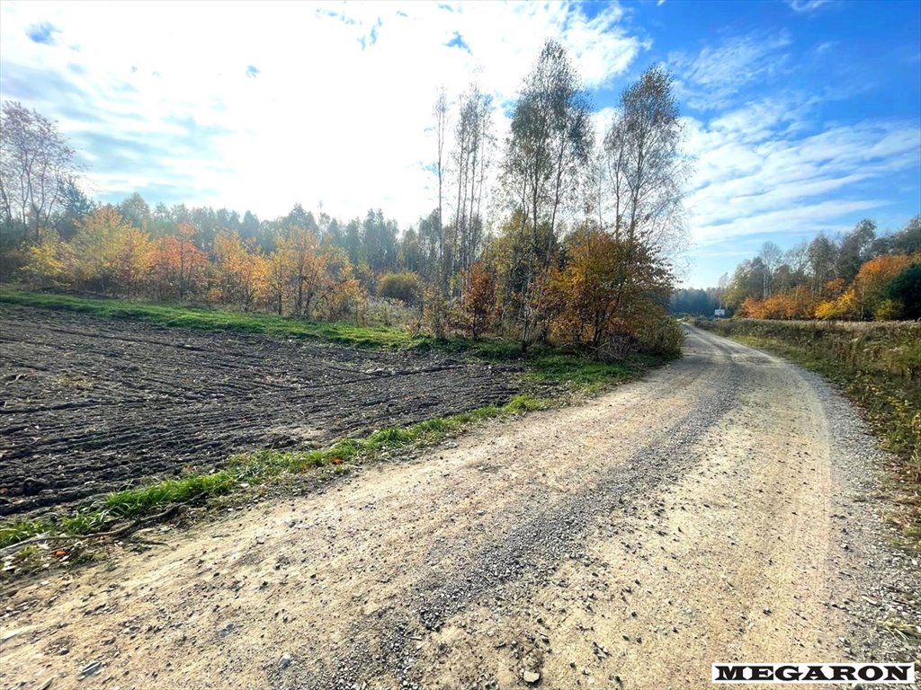 Działka budowlana na sprzedaż Częstochowa, Kiedrzyn  10 853m2 Foto 4