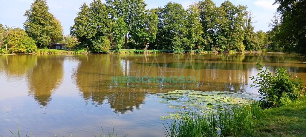 Działka inwestycyjna na sprzedaż Grodzisk Mazowiecki  53 328m2 Foto 20