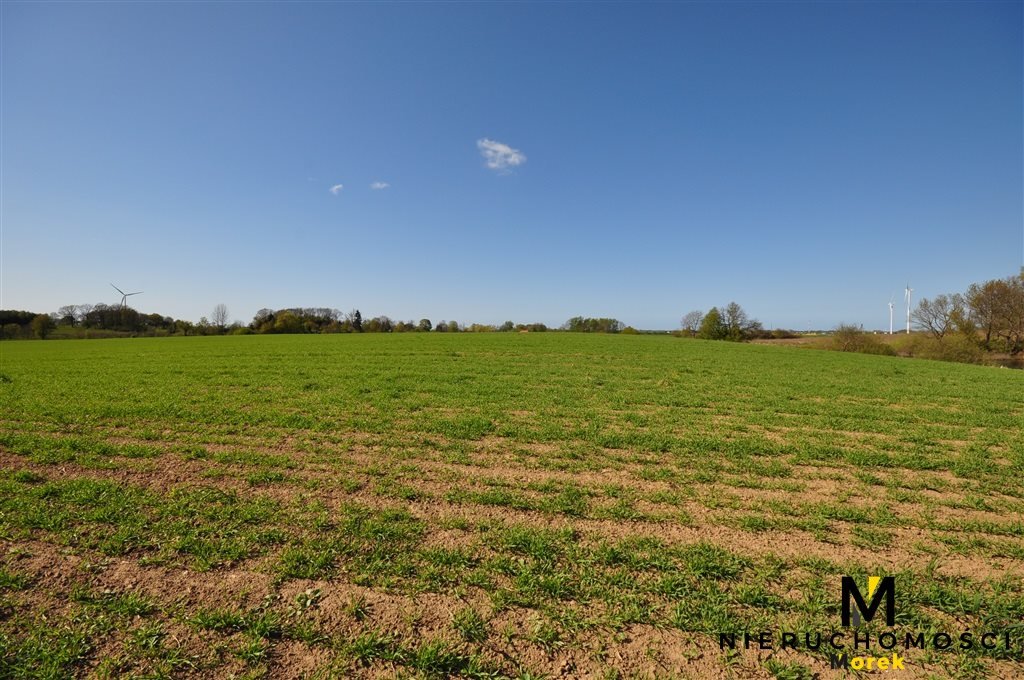 Działka budowlana na sprzedaż Bardy  60 400m2 Foto 16