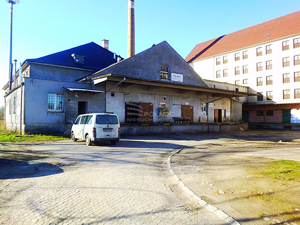 Lokal użytkowy na sprzedaż Bolesławiec, al. Tysiąclecia  2 880m2 Foto 3