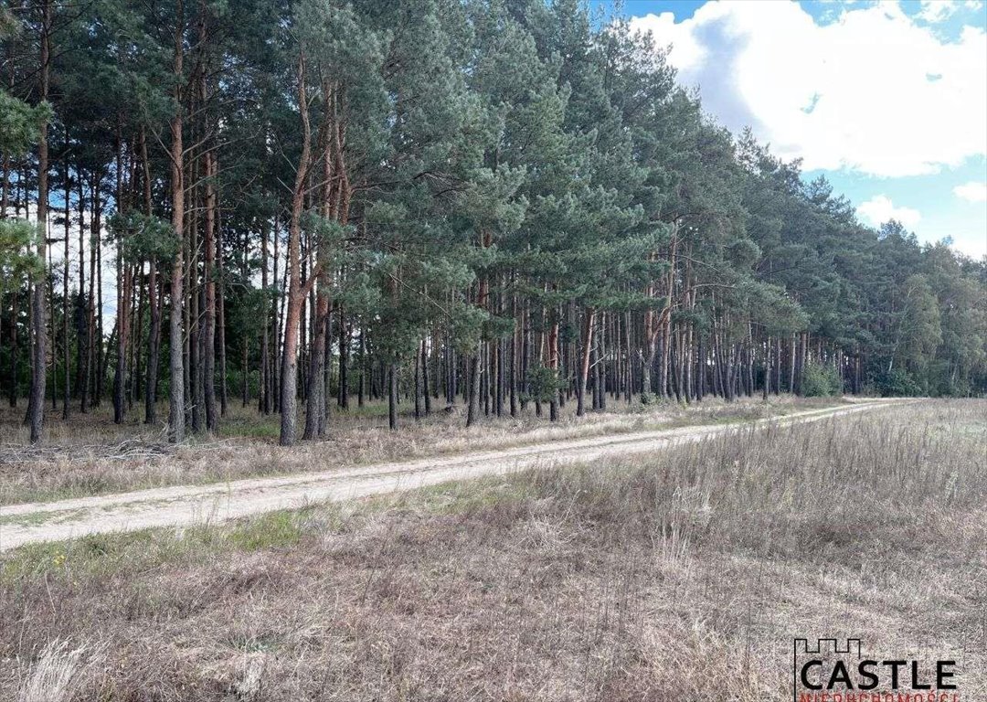 Działka budowlana na sprzedaż Trzciel  1 001m2 Foto 7