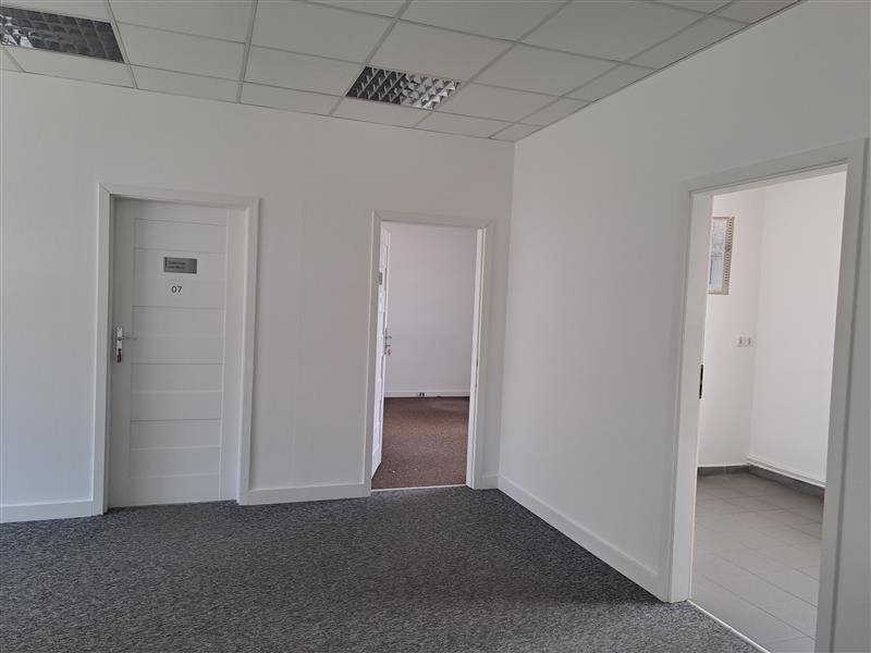 Lokal użytkowy na wynajem Gdańsk, Przeróbka, Sienna  100m2 Foto 5