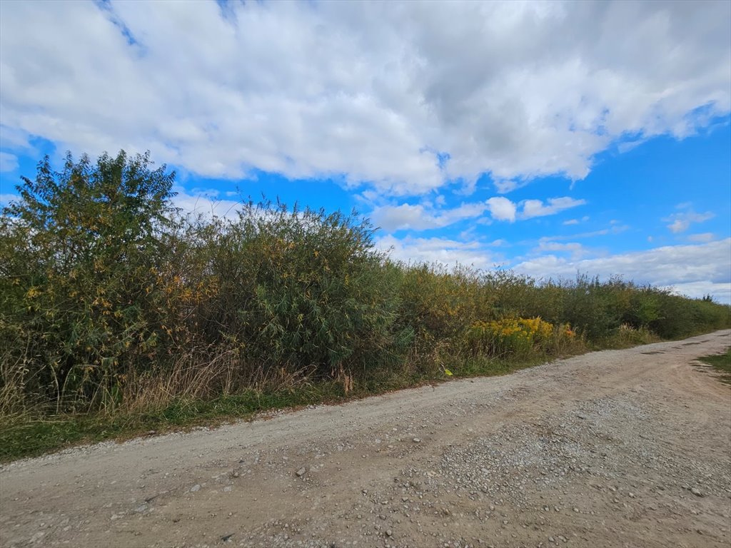Działka inwestycyjna 3861 m² z dostępem do drogi - polecam! Świebodzice, Ciernie  3 861m2 Foto 1